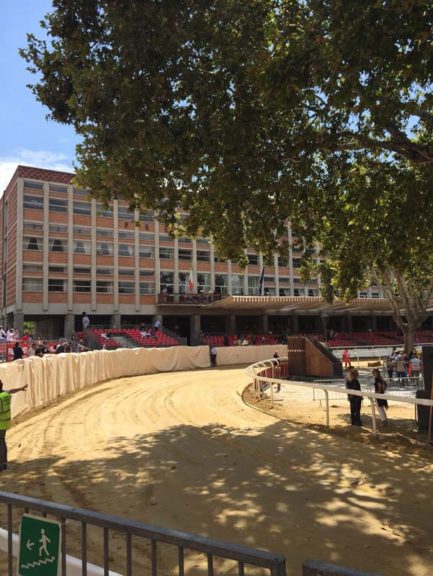 Palio di Asti. Le prime immagini da piazza Alfieri