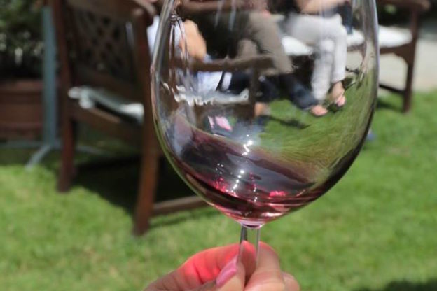 Festa di fine vendemmia al Forteto della Luja