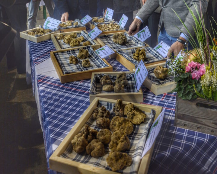 Al via l’Autunno delle Fiere del Tartufo in Monferrato