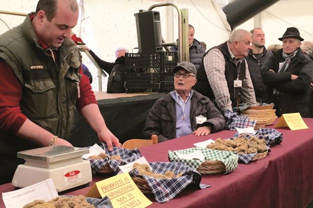 A Cortazzone è tutto pronto per la Fiera Regionale del Tartufo