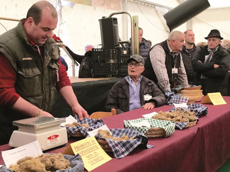 A Cortazzone è tutto pronto per la Fiera Regionale del Tartufo