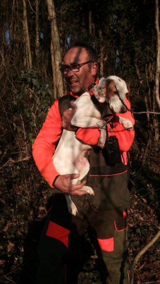 Cane precipita in un pozzo: salvato dai vigili del fuoco