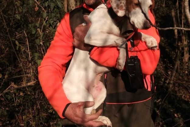 Cane precipita in un pozzo: salvato dai vigili del fuoco