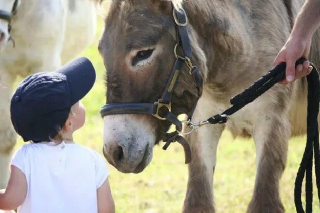 Bambini alla scoperta degli animali con “Amici di coda”