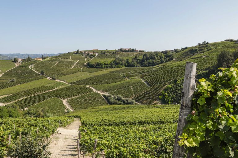 L’Asti Docg al Vinitaly di Verona