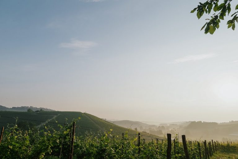 Un evento a San Damiano per festeggiare i 10 anni della Doc Terre Alfieri