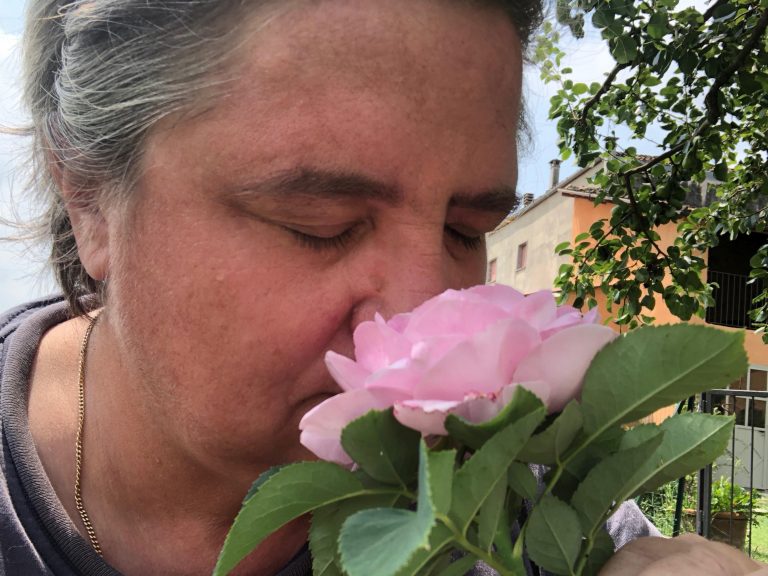 Ad Alfiano Natta una domenica tra le rose antiche