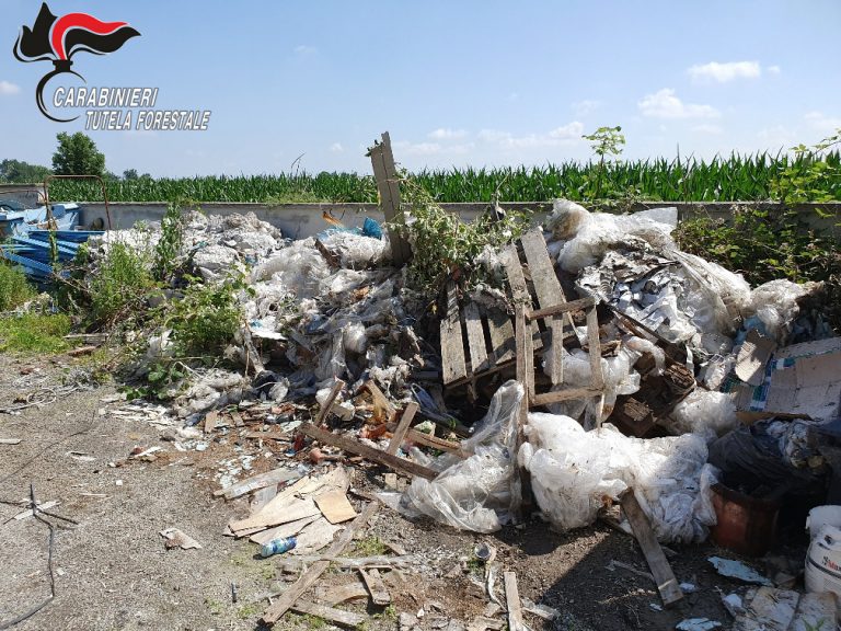 Allarme roghi: i carabineiri forestali di Asti denunciano quattro persone