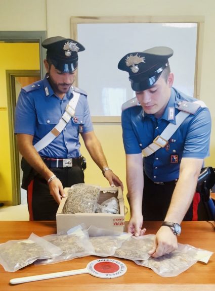 Stanza segreta per la coltivazione di marijuana scoperta dai carabinieri di San Damiano d’Asti