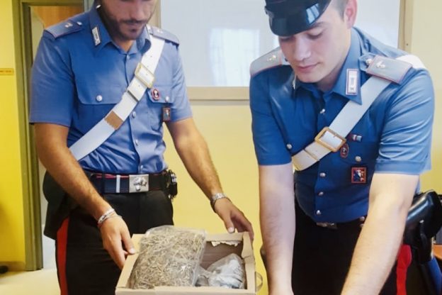 Stanza segreta per la coltivazione di marijuana scoperta dai carabinieri di San Damiano d’Asti