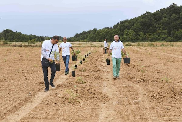 Asti, inaugurazione del bambuseto “Genesi Dos Terza”