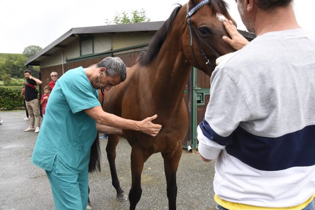 Palio, alle visite veterinarie “bocciati” cinque cavalli