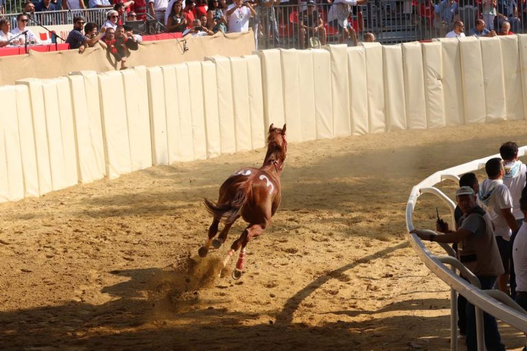 Palio, alcuni scatti da piazza Alfieri in attesa del Palio dei Comuni e della finale