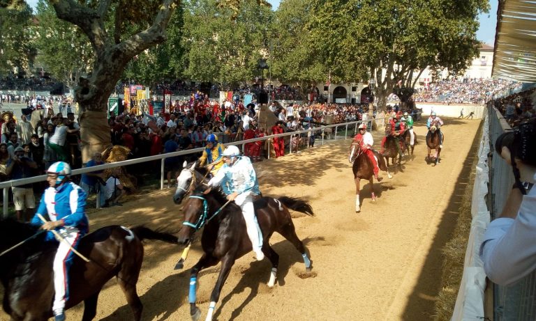 Palio, ecco i risultati della seconda batteria: passano Tanaro, Don Bosco, Cattedrale e San Pietro