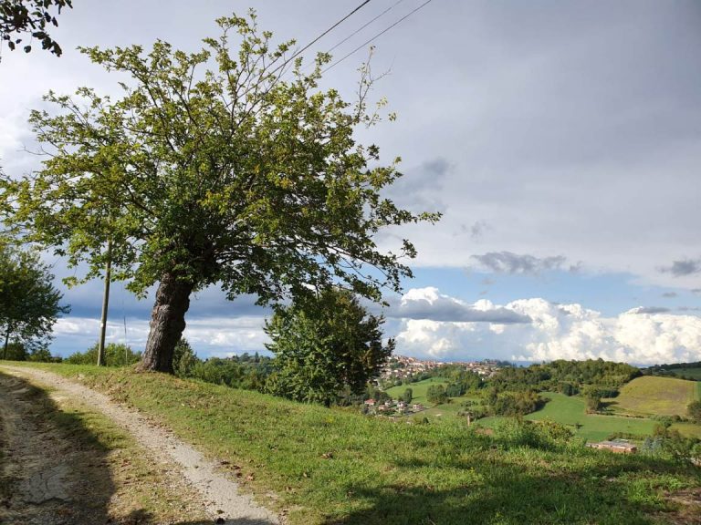 Camminare seguendo i segni della natura