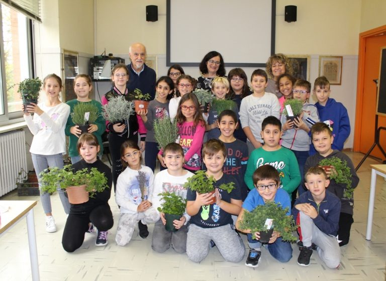“Vorrei essere una quercia o una lavanda” : 68 bambini nicesi scelgono la pianta che li rappresenta