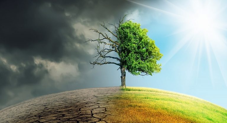 Il cambiamento climatico alla Scuola del Dialogo