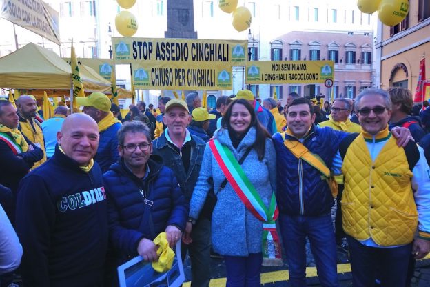 Emergenza cinghiali. Coldiretti: “Sono a rischio la sicurezza dei cittadini e il patrimonio agroalimentare”