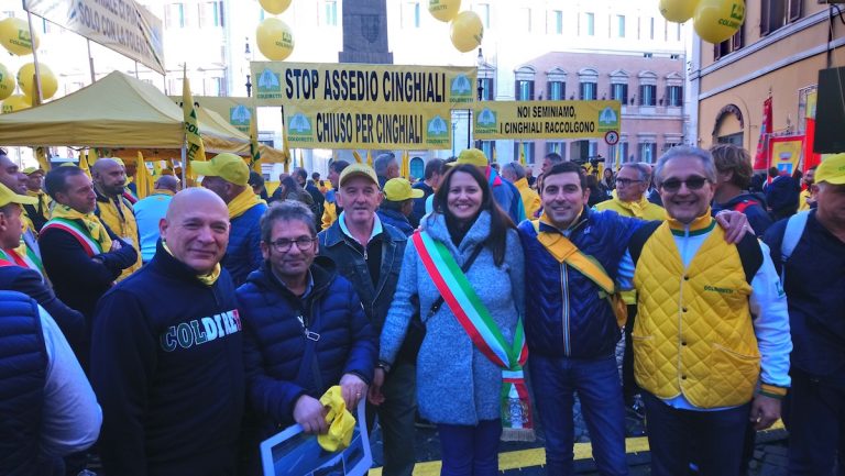 Emergenza cinghiali. Coldiretti: “Sono a rischio la sicurezza dei cittadini e il patrimonio agroalimentare”