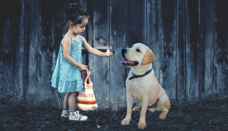 Aperte le iscrizioni per la nuova edizione del laboratorio “Con-fido nel teatro” allo Spazio Kor