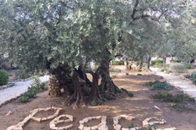 Il diario del pellegrinaggio diocesano in Terra Santa: l’intervista al vescovo Marco