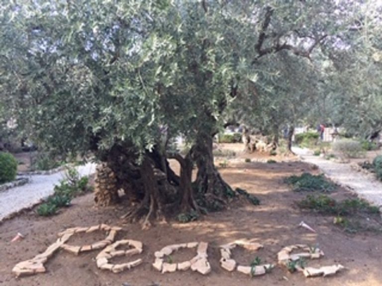 Il diario del pellegrinaggio diocesano in Terra Santa: l’intervista al vescovo Marco