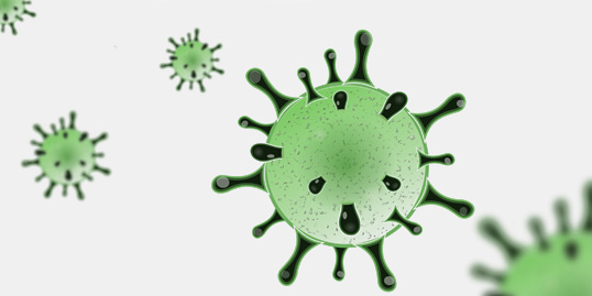 Coronavirus, sei casi positivi in Piemonte