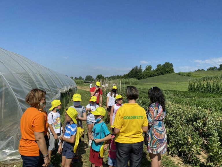 Molti Centri Estivi si spostano dalla città alla campagna