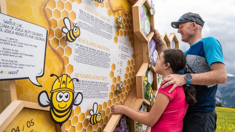 Nasce Beetourism, la via del miele dell’Astigiano