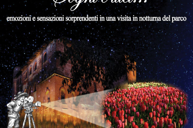“Sogni e luci” a Pralormo