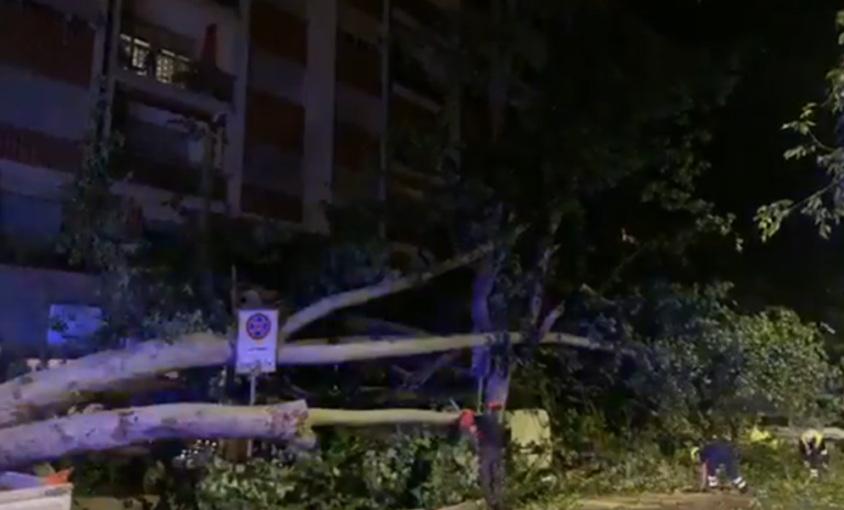 Alberi caduti e asfalto divelto: violento temporale nell’Astigiano