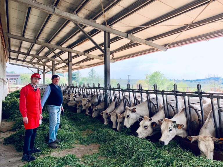 L’Agrifestival chiude in bontà all’Isola della Carne