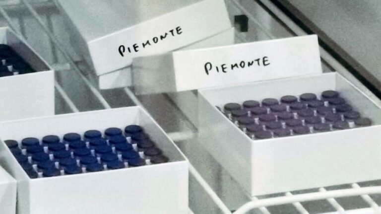 19.684 le persone vaccinate contro il covid ieri in Piemonte