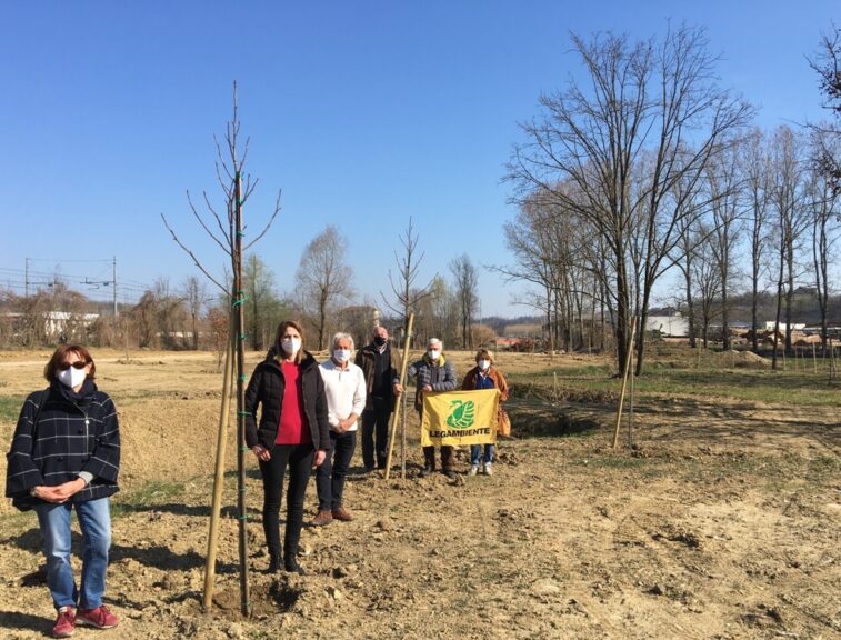 Novantanove alberi a Villafranca per rilanciare il parco delle Verne