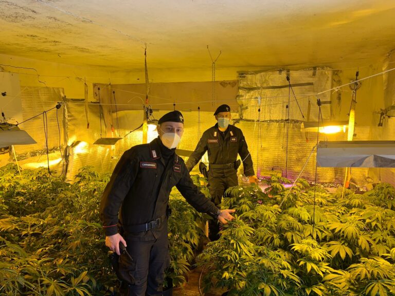 I carabinieri scoprono una serra di marijuana a migliandolo