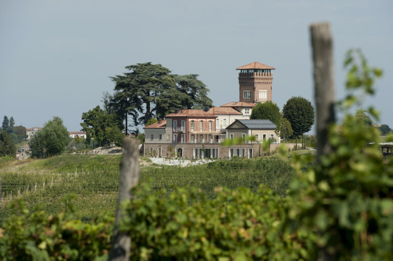 Mangiare circondati da vista, vigne e vino a due passi dalla città: una breve vacanza a cena