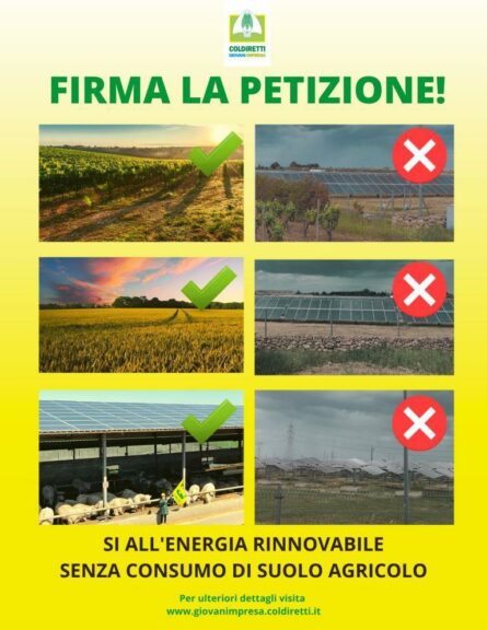 Coldiretti: al via la petizione contro i pannelli “mangia suolo”