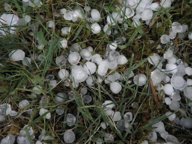 Maltempo. Coldiretti Asti: “Forte pioggia, vento e grandine danni in tutta la provincia”