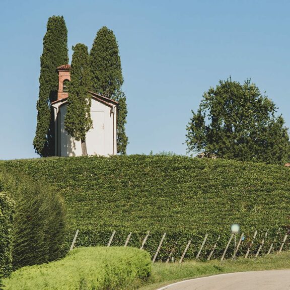 Degustazione in vigna a Cocconato