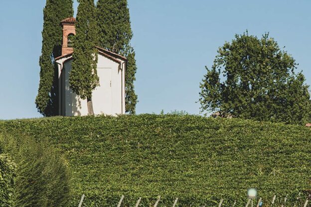 Degustazione in vigna a Cocconato