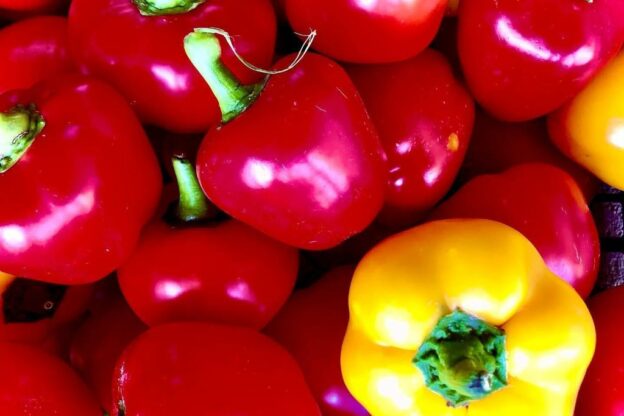 Il Presidio del peperone di Capriglio si costituisce in comunità Slow Food