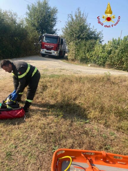 Cade da un alberi mentre pota i rami