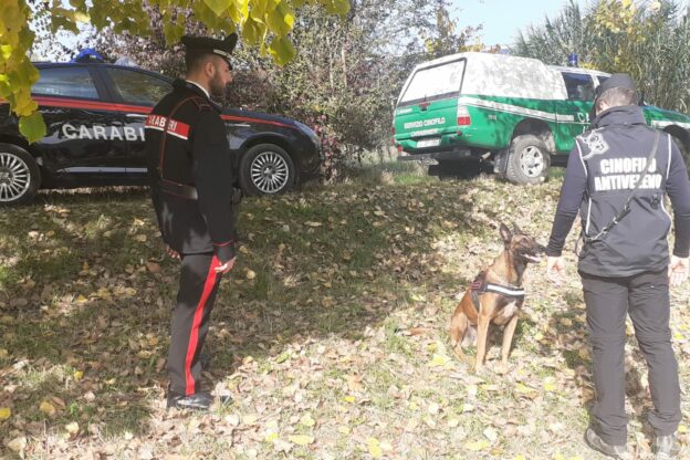Esche avvelenate: controlli dei carabinieri Forestali di Asti e Canelli