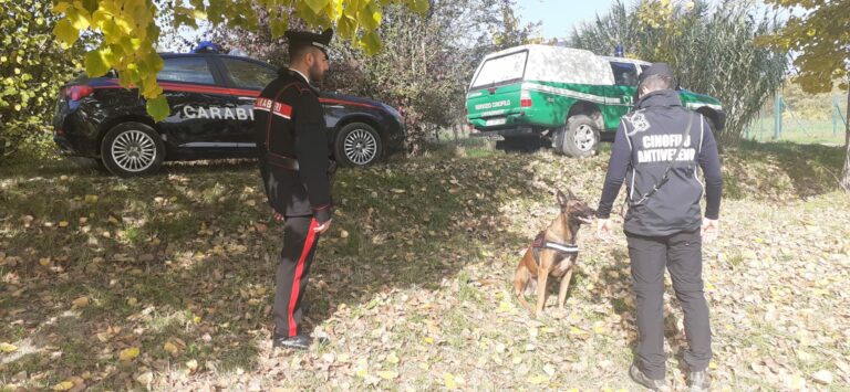 Esche avvelenate: controlli dei carabinieri Forestali di Asti e Canelli