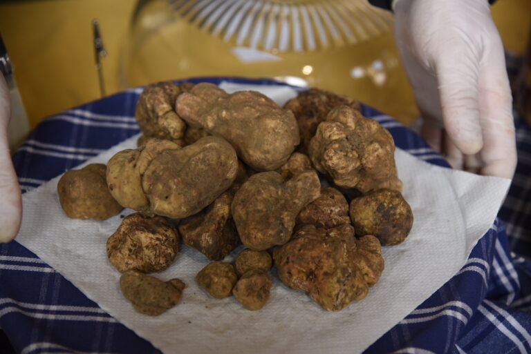 68ª edizione della Fiera nazionale del Tartufo di Moncalvo