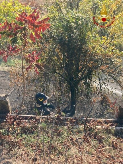 Incendio in un giardino a Robella