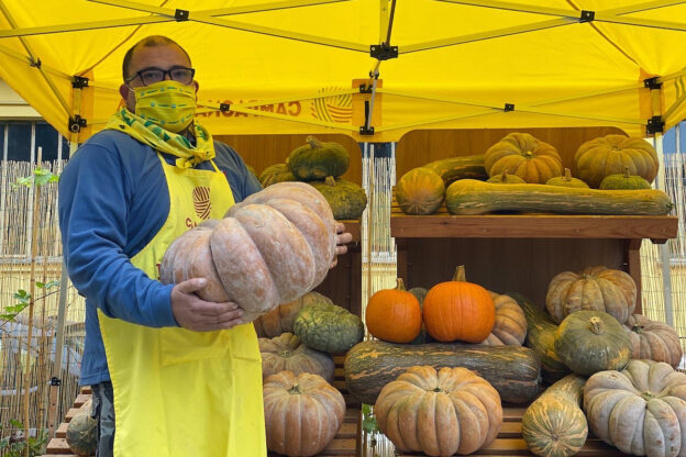 Al Mercato Contadino di Campagna Amica i mille volti della zucca