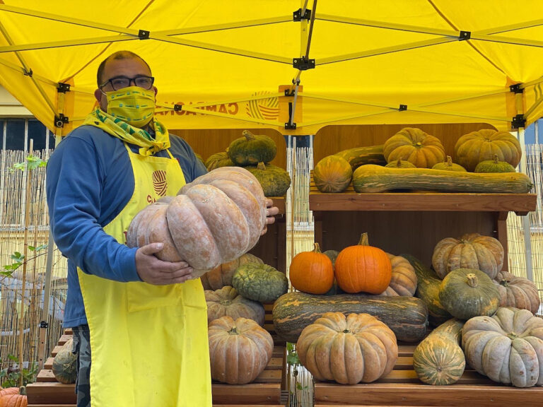 Al Mercato Contadino di Campagna Amica i mille volti della zucca