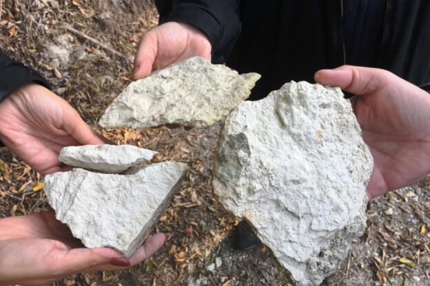Fossili e Territori: le rocce marine di Passerano Marmorito