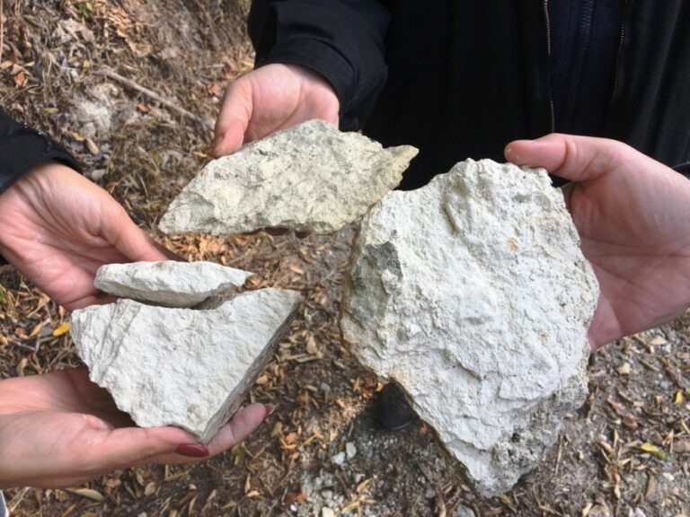 Fossili e Territori: le rocce marine di Passerano Marmorito